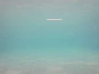 voyeurcam-casa-salsa-pool-1