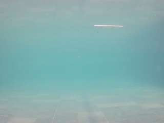 voyeurcam-casa-salsa-pool-1 live cam profile