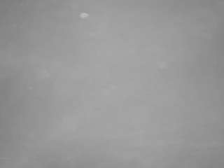 voyeurcam-casa-salsa-pool-1 live cam profile