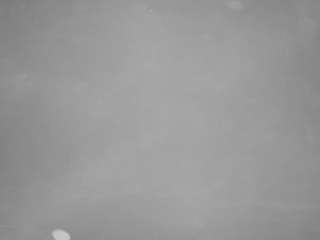 voyeurcam-casa-salsa-pool-1 live cam profile