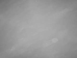 voyeurcam-casa-salsa-pool-1