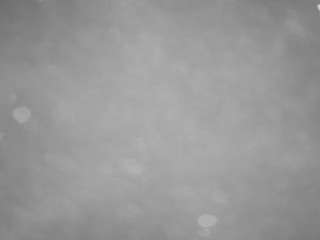 voyeurcam-casa-salsa-pool-1 live cam profile