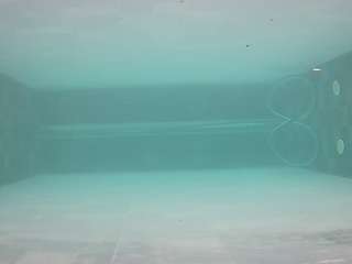 voyeurcam-casa-salsa-pool-1