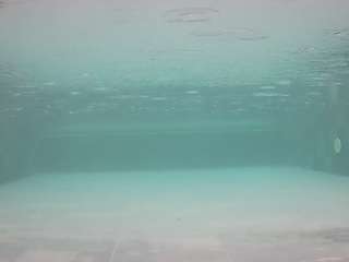 voyeurcam-casa-salsa-pool-1