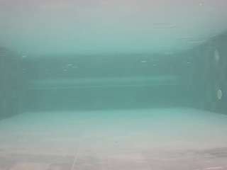 voyeurcam-casa-salsa-pool-1
