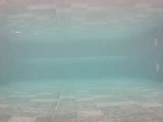 voyeurcam-casa-salsa-pool-1 live cam profile