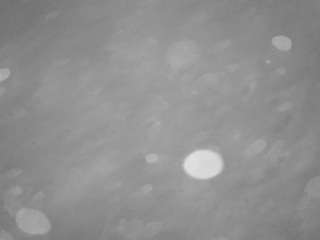 voyeurcam-casa-salsa-pool-1 live cam profile