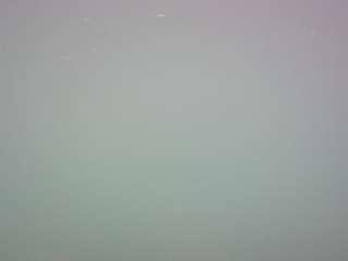 voyeurcam-casa-salsa-pool-1