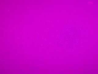 voyeurcam-casa-salsa-pool-1