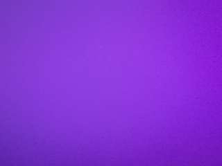 voyeurcam-casa-salsa-pool-1