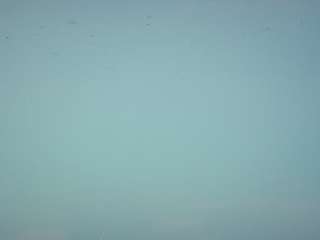 voyeurcam-casa-salsa-pool-1