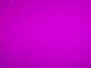 voyeurcam-casa-salsa-pool-1