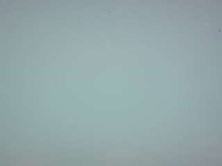 voyeurcam-casa-salsa-pool-1