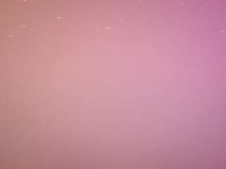 voyeurcam-casa-salsa-pool-1