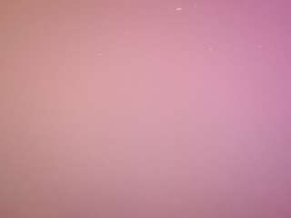 voyeurcam-casa-salsa-pool-1