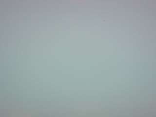 voyeurcam-casa-salsa-pool-1