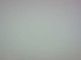 voyeurcam-casa-salsa-pool-1