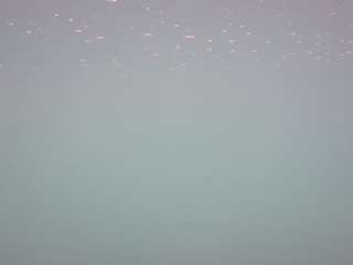 voyeurcam-casa-salsa-pool-1