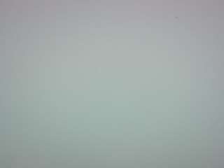 voyeurcam-casa-salsa-pool-1