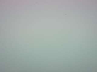 voyeurcam-casa-salsa-pool-1