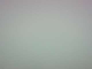 voyeurcam-casa-salsa-pool-1