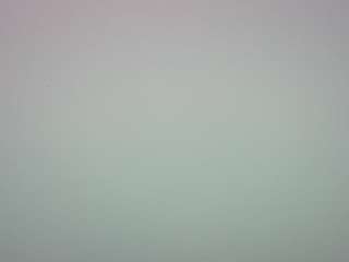 voyeurcam-casa-salsa-pool-1