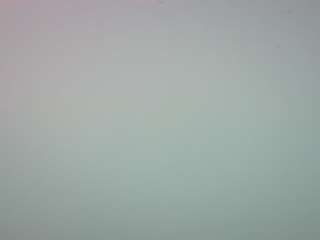 voyeurcam-casa-salsa-pool-1