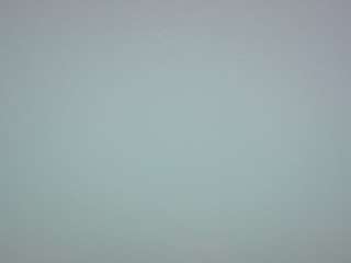 voyeurcam-casa-salsa-pool-1