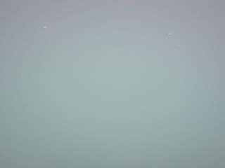 voyeurcam-casa-salsa-pool-1