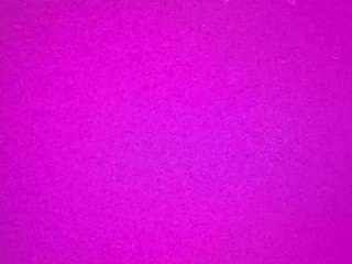 voyeurcam-casa-salsa-pool-1 webcam