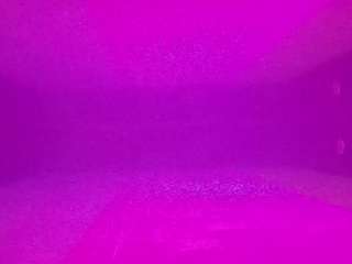 voyeurcam-casa-salsa-pool-1