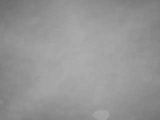 voyeurcam-casa-salsa-pool-1