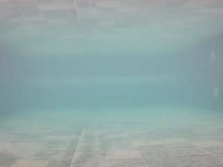 voyeurcam casa salsa pool 1