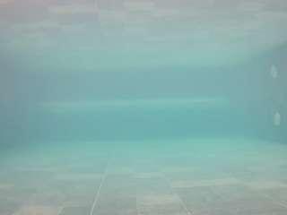 voyeurcam-casa-salsa-pool-1