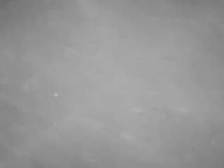 voyeurcam-casa-salsa-pool-1