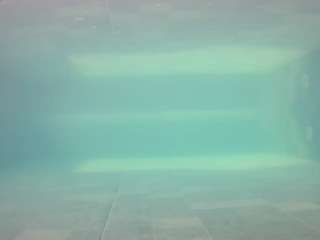 voyeurcam-casa-salsa-pool-1