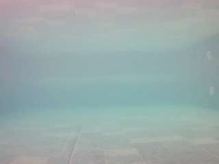 voyeurcam-casa-salsa-pool-1