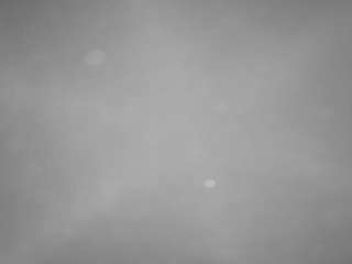 voyeurcam-casa-salsa-pool-1