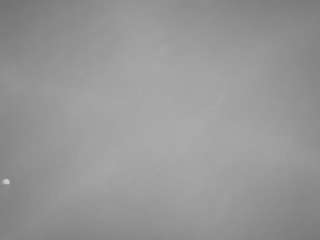 voyeurcam-casa-salsa-pool-1