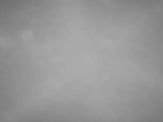 voyeurcam-casa-salsa-pool-1