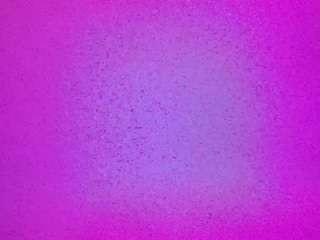 voyeurcam-casa-salsa-pool-1