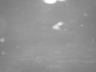 voyeurcam-casa-salsa-pool-1