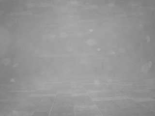 voyeurcam-casa-salsa-pool-1