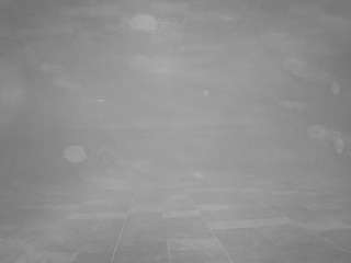 voyeurcam-casa-salsa-pool-1