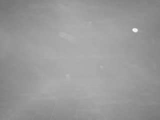 voyeurcam-casa-salsa-pool-1