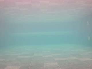 voyeurcam-casa-salsa-pool-1