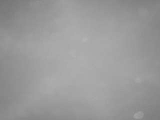 voyeurcam-casa-salsa-pool-1