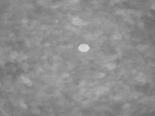 voyeurcam-casa-salsa-pool-1