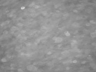voyeurcam-casa-salsa-pool-1