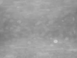 voyeurcam-casa-salsa-pool-1